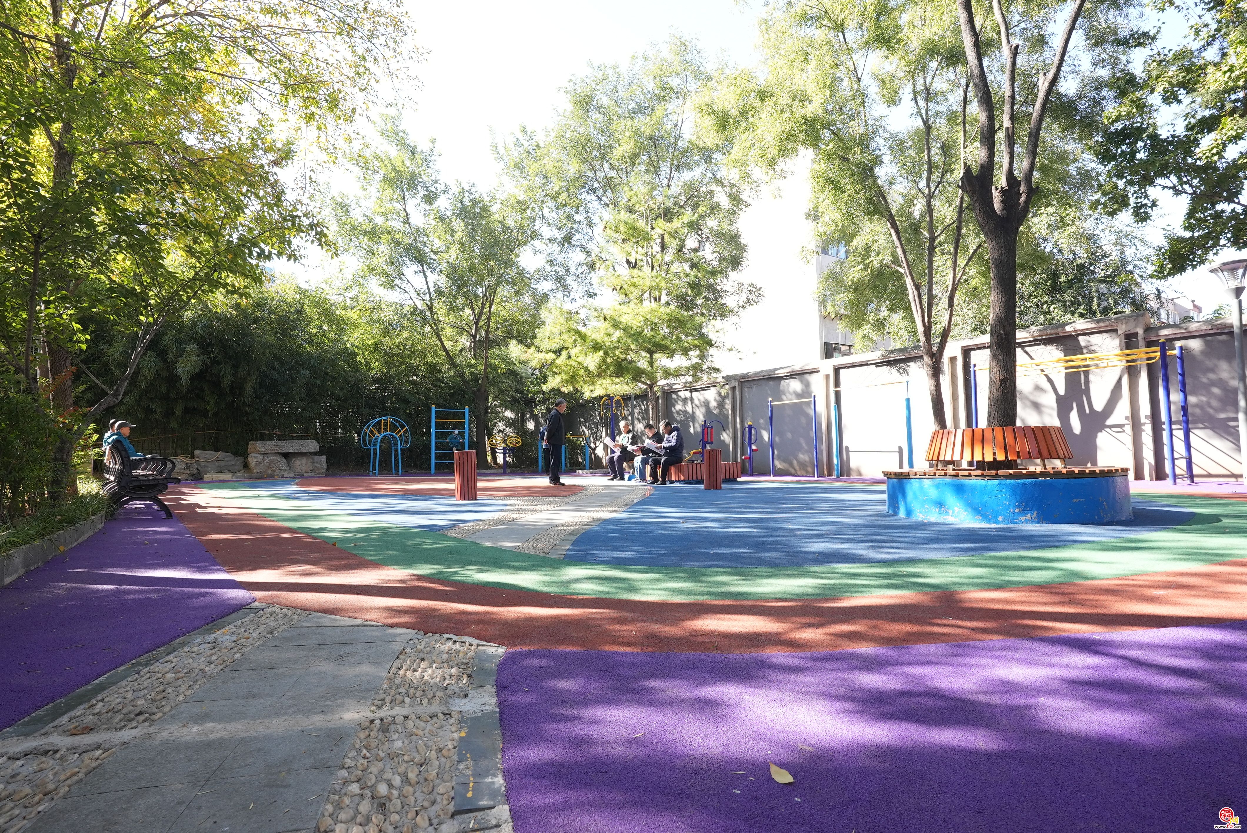 融媒·见证丨社区服务、居民回馈——社区治理“一呼百应”