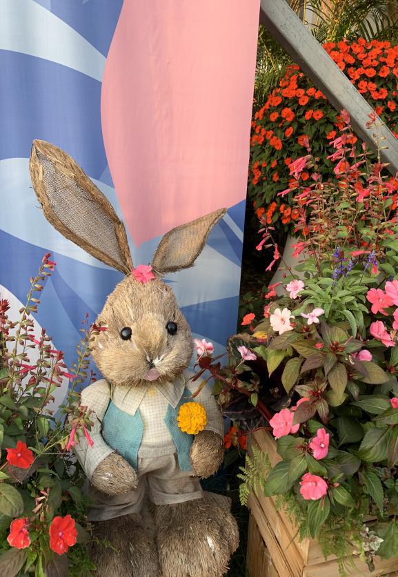 沙湖户外遛娃攻略一日游,沙湖带娃怎么玩便宜又好玩