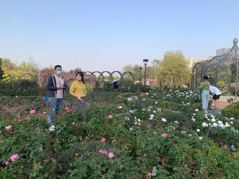 沙湖户外遛娃攻略一日游,沙湖带娃怎么玩便宜又好玩