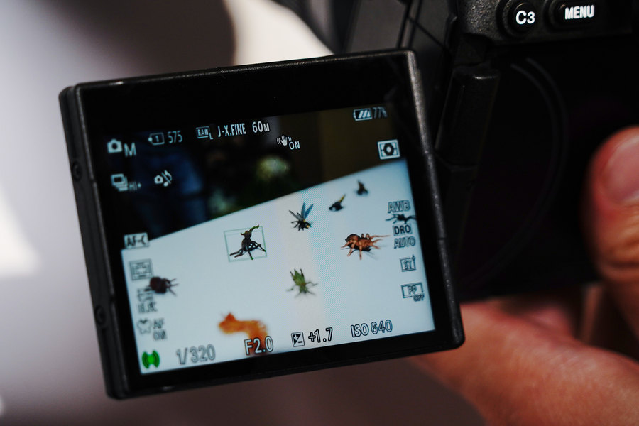 索尼alpha7rv,索尼alpha7v微单体验发布