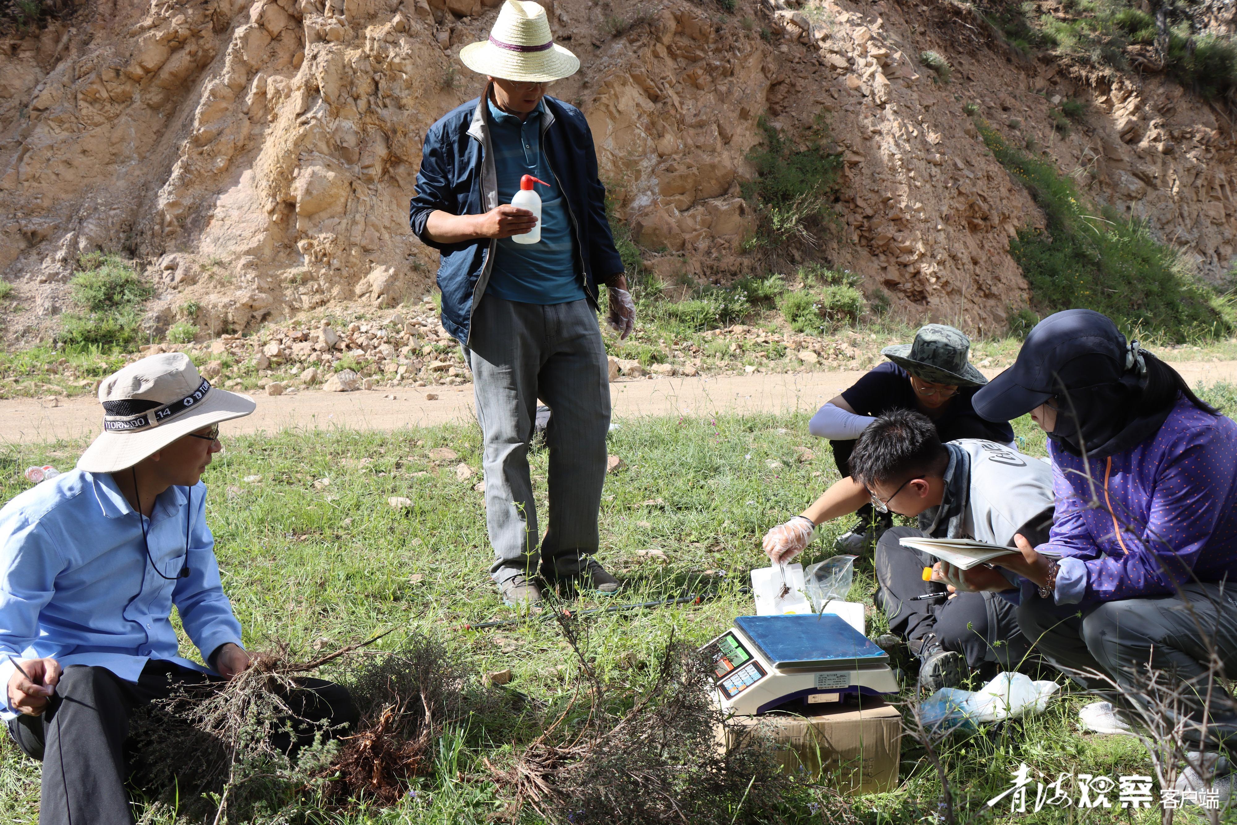 当美丽的察汗河与“产学研”相遇……