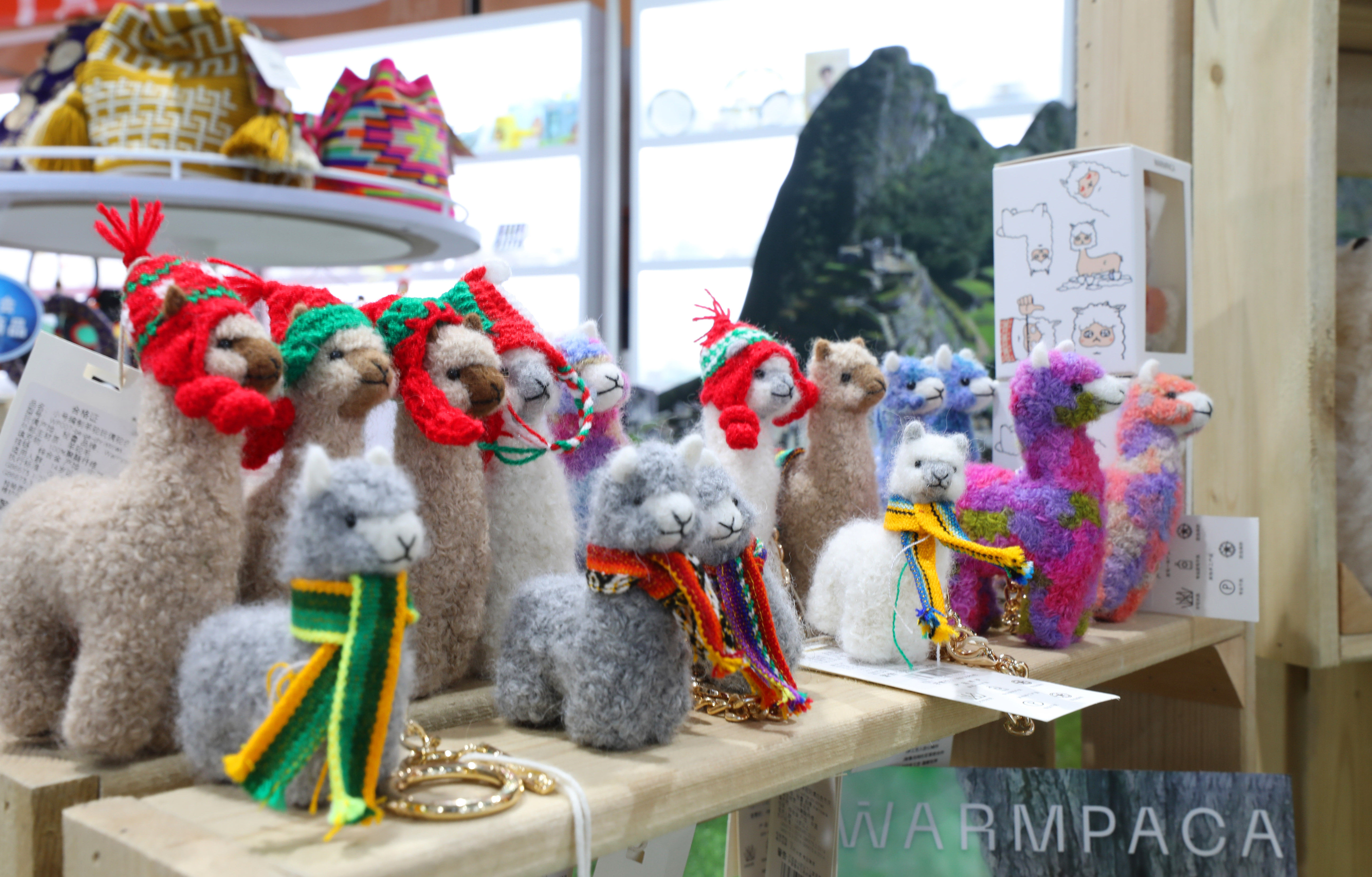 （新华全媒+）一只秘鲁“小羊驼”的进博之旅