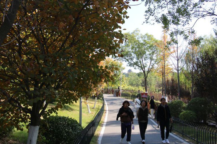 高新区花山公园景区,西安高新区双创公园