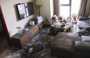 双十一调查：天猫买到假户外电源爆炸受伤，两个多月索赔无门