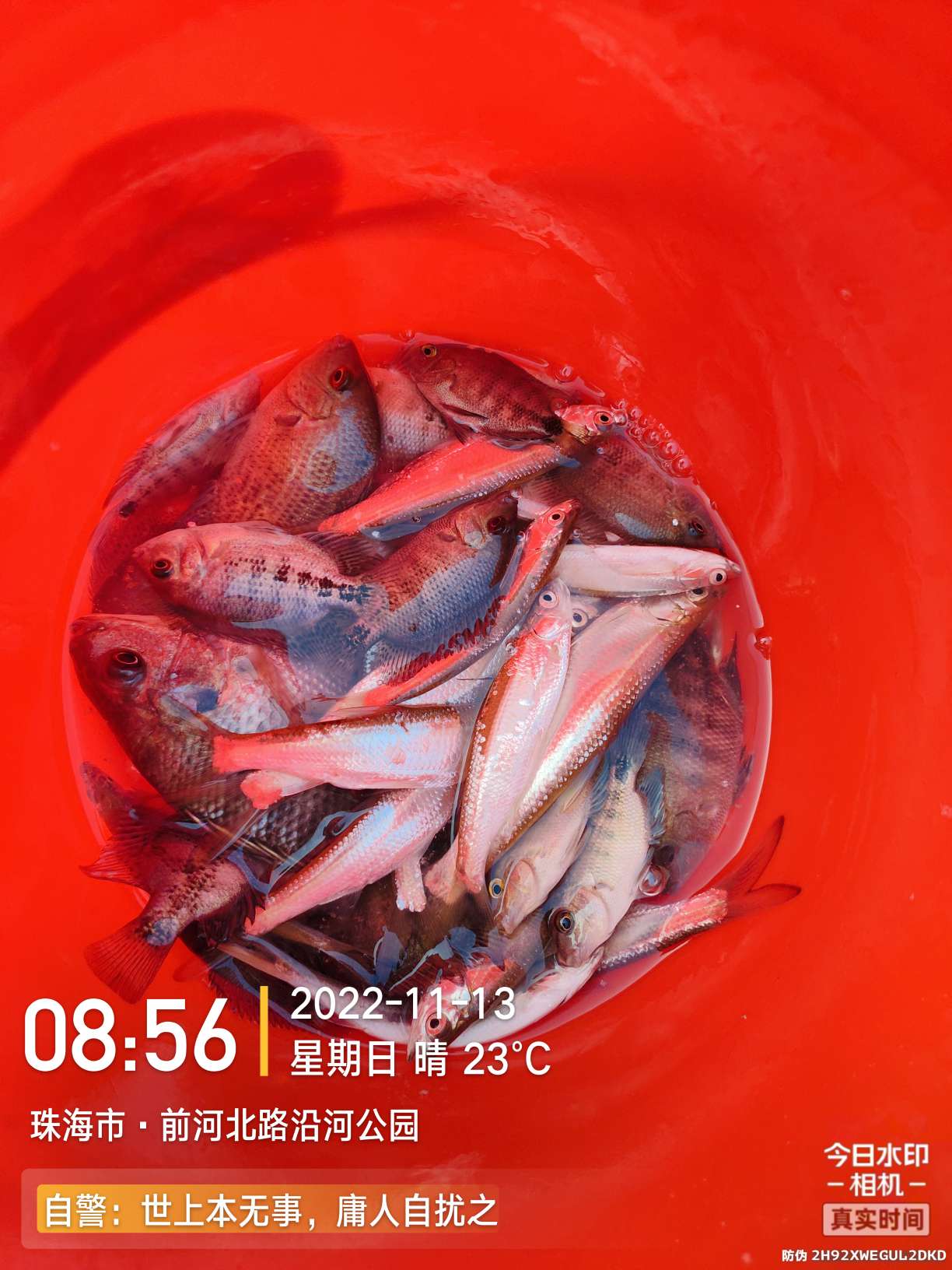 刷新了对钓鱼的认知,钓鱼的十个思维方法