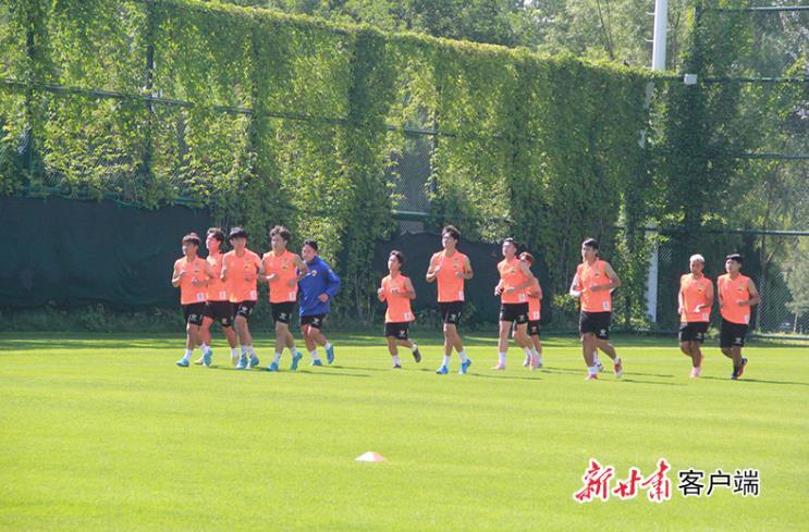 黑马跨栏一飞冲天,甘肃泾川县黑马