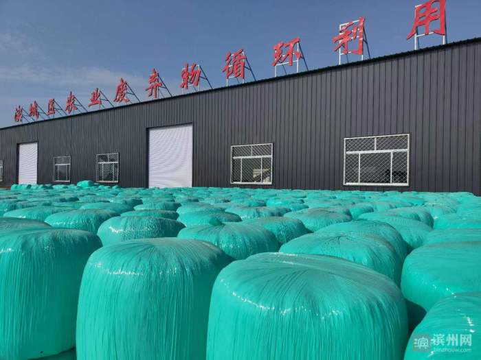 新时代新伟业,新时代新征程新伟业