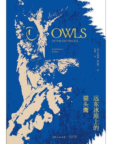 日本足球7:0胜中国,日本逆袭足球