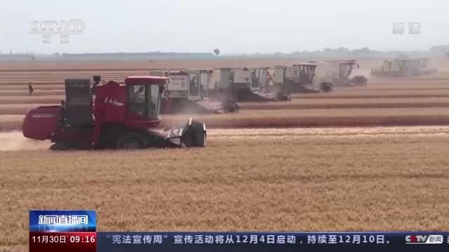 粮食全链条减损包括哪些环节,中国粮食生产取得重要成就