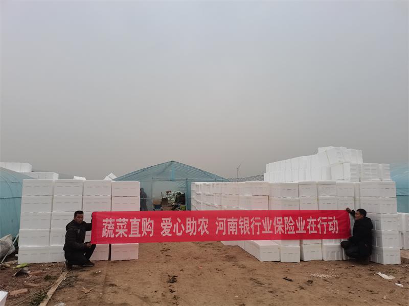 已购蔬菜近40万斤！河南银保监局号召金融机构“以购代扶”助菜农