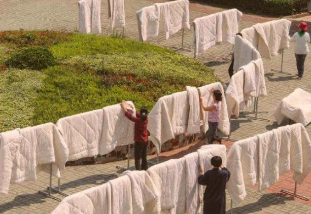 经常晒被要留意,不然晒了也白晒