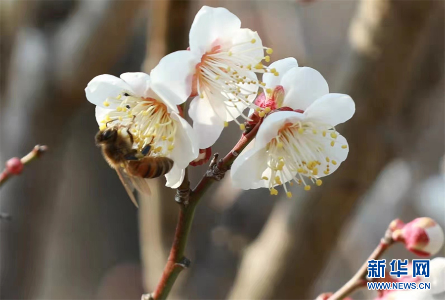 七一时评最暖人的话,年轻干部七一时评