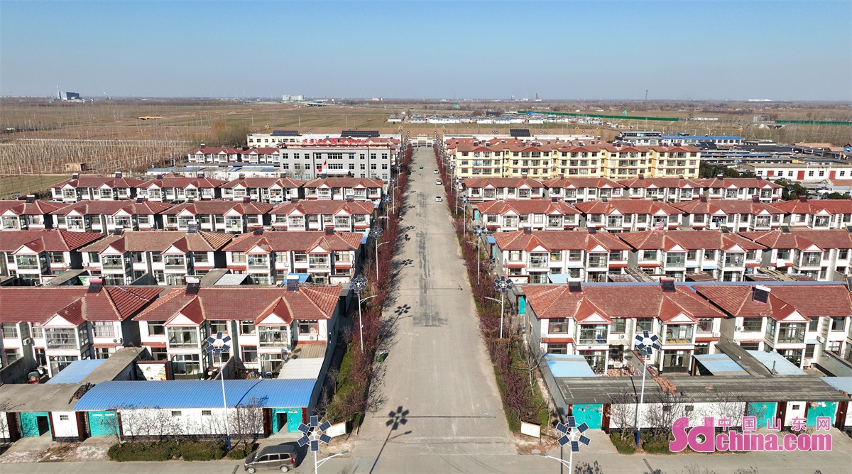 山东聊城乡村风景,聊城美丽乡村绿化石材