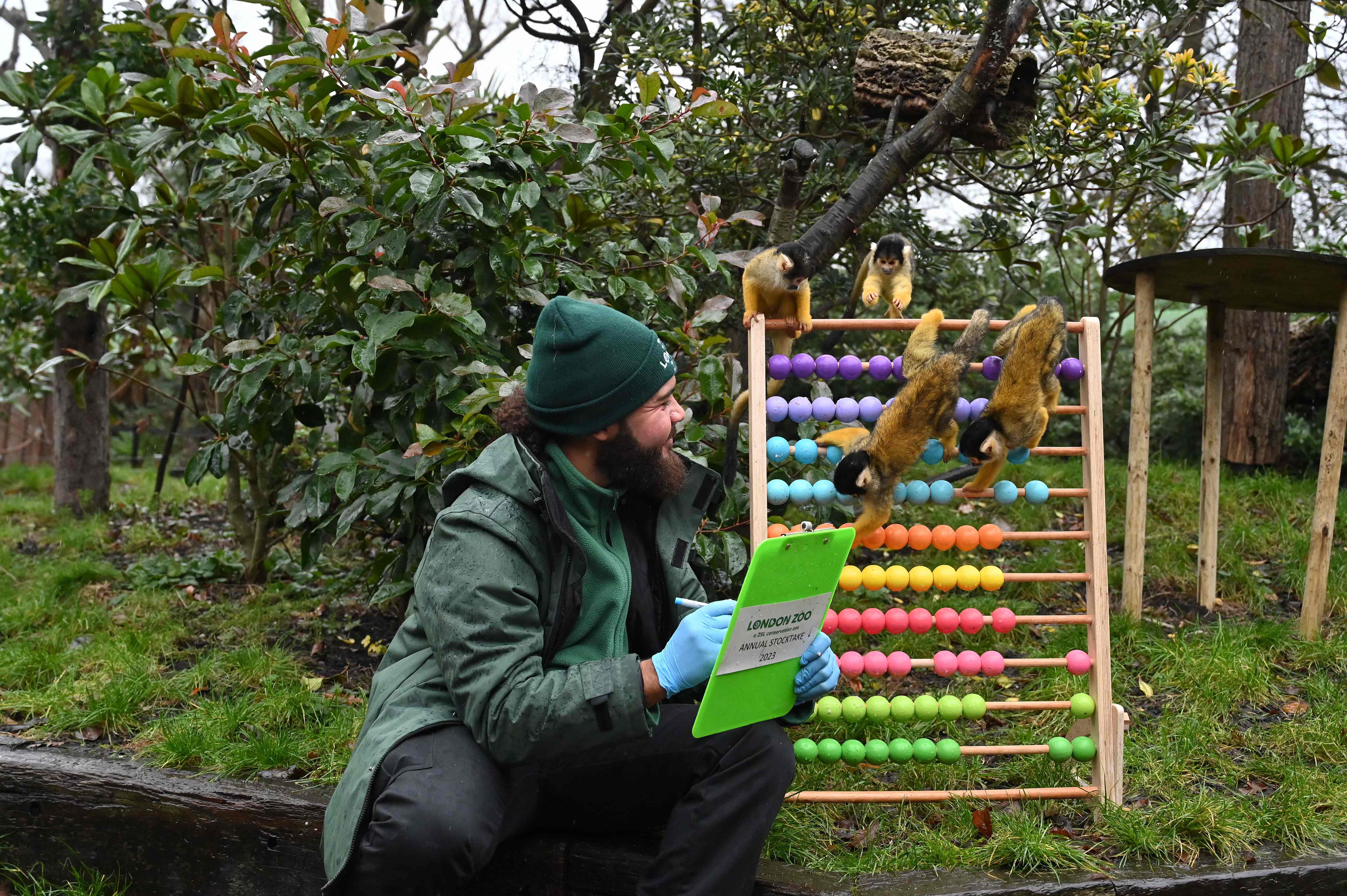 伦敦动物园动物大盘点,欧洲伦敦动物园