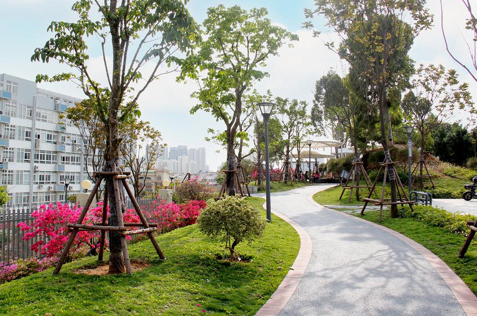 厦门打卡娱乐项目,厦门宝藏旅游打卡地盘点