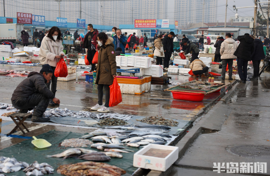 渔船海鲜早市,海鲜市场中国渔船