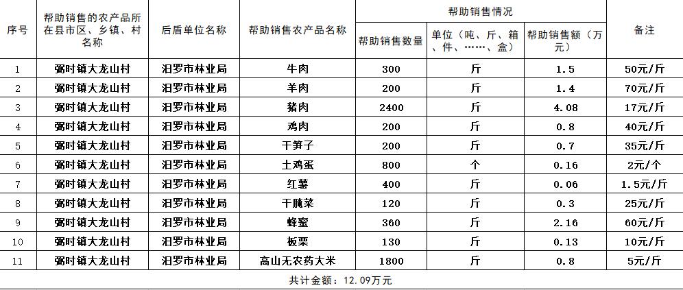 驻村扶贫工作队员年度考核表填写,驻村工作帮扶队队员年终总结