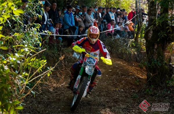 体育元素环保设计,体育元素装饰品