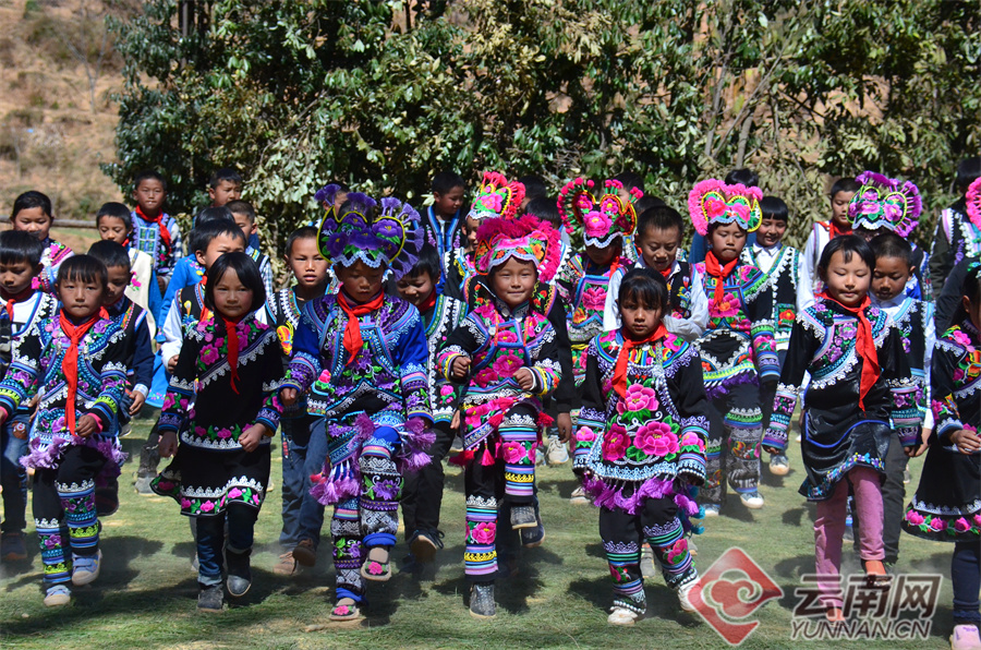 云南元宵节,云南元宵节有什么特色活动