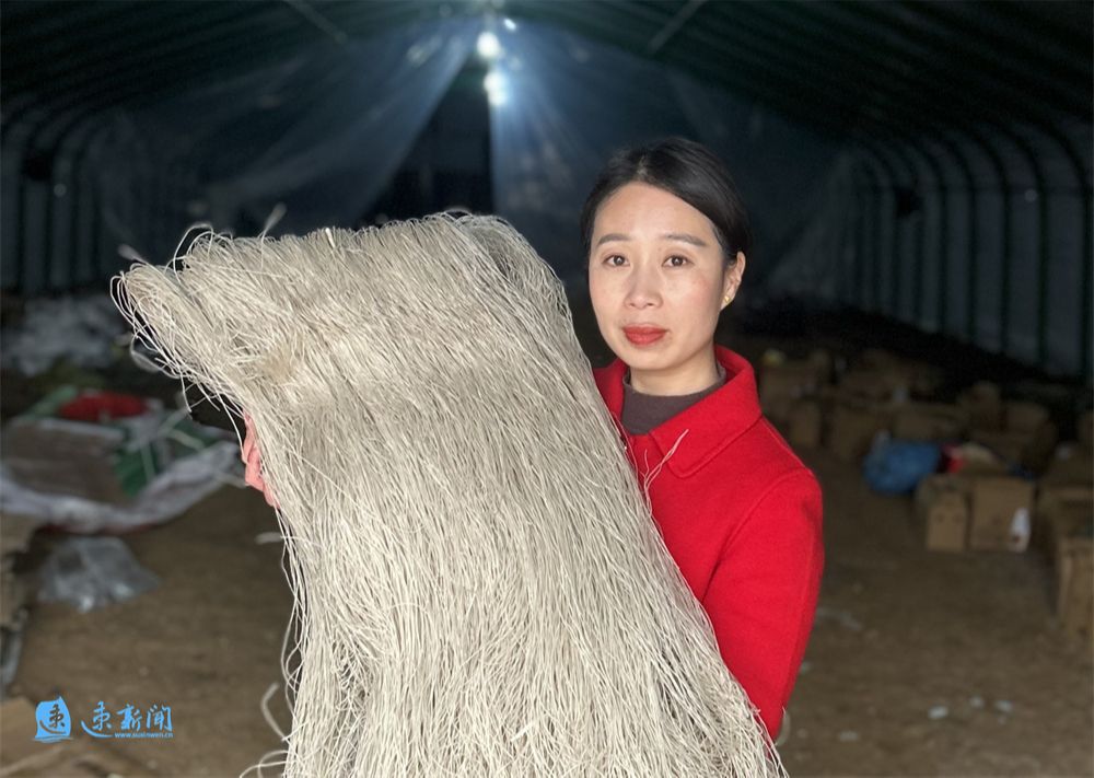 千丝万缕映丹心,千丝万缕映碧水