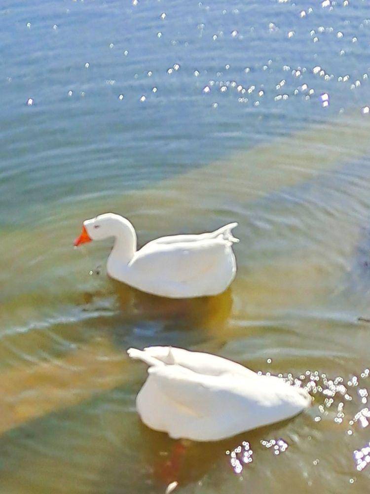 东北河流开冻,七九河会冻开吗