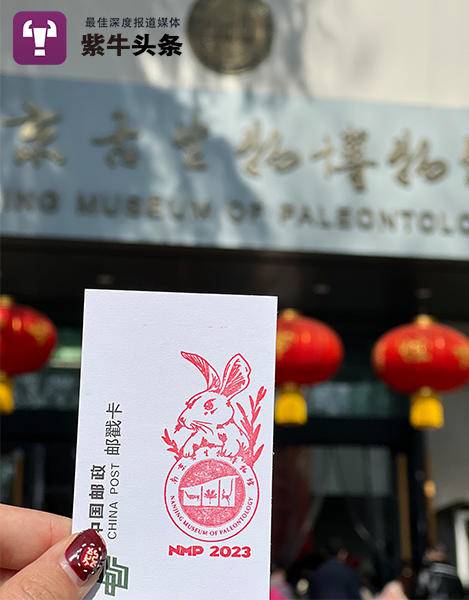 紫牛头条视频完整版,紫牛头条最近视频