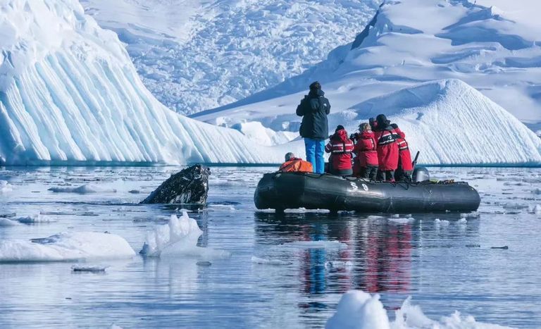 谁花了20万去南极找罪受？？