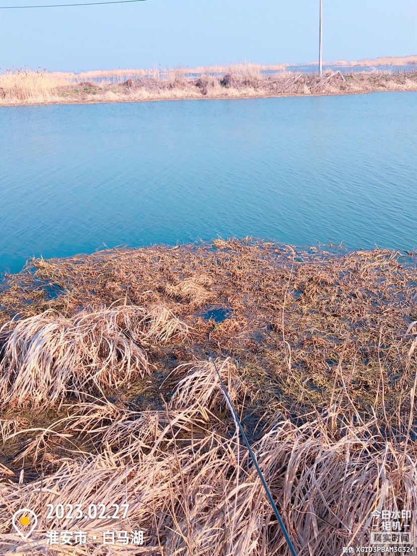 白马湖禁止钓鱼吗,白马湖朝阳河禁钓吗