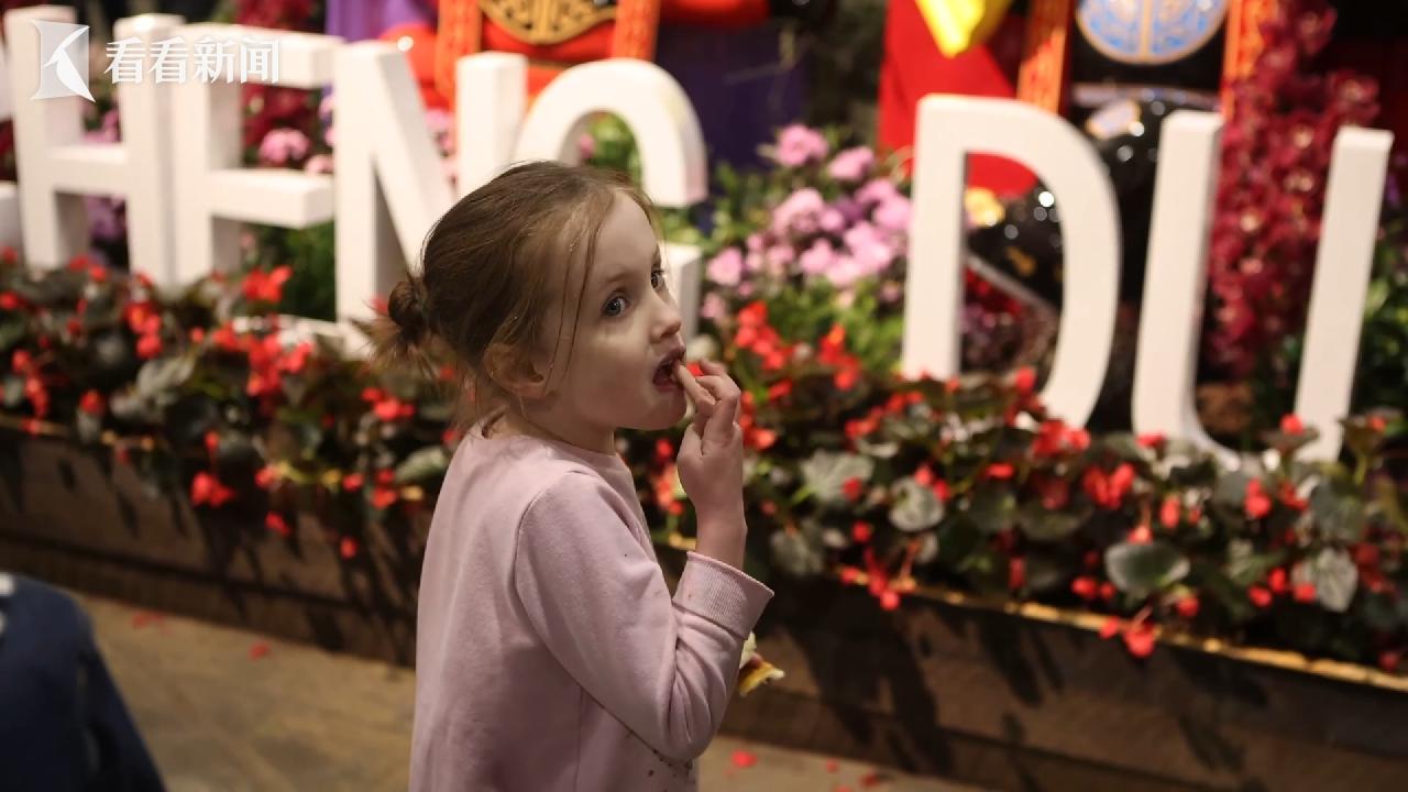 2025年世界级花博会,世界顶级花展大全