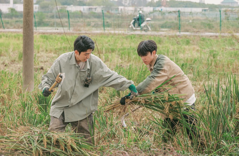 种地吧导演杨长岭什么学历,种地吧少年导演杨长岭专访