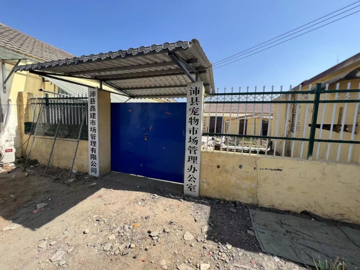 宠物线上代购主播背后的圈套：谁演得好谁就赚得多