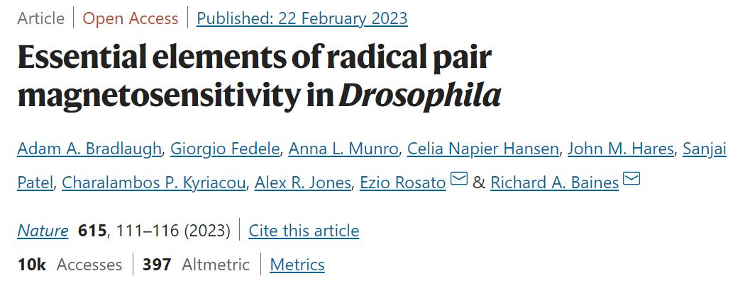 微软将gpt-4引入office可以用了吗,微软将gpt-4引入office对审计的影响