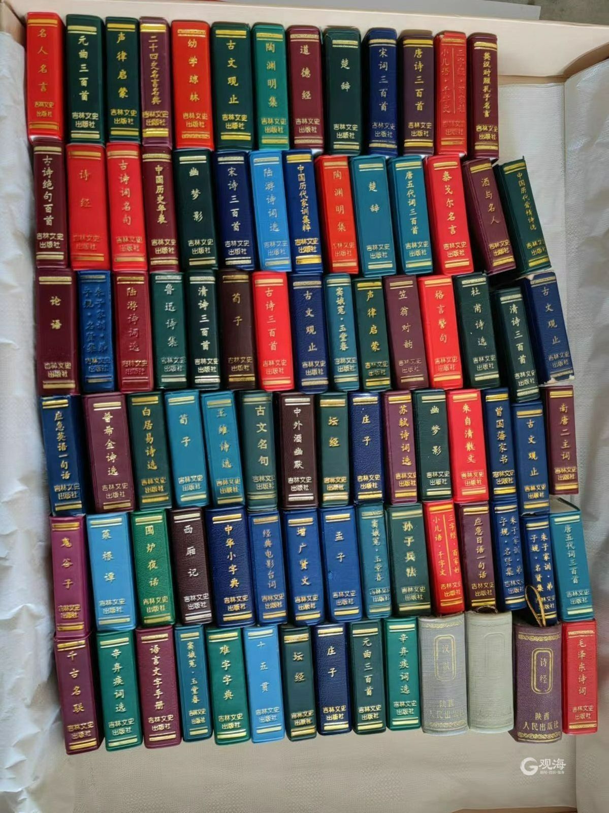 镜像文件能识别源代码吗,镜像微观