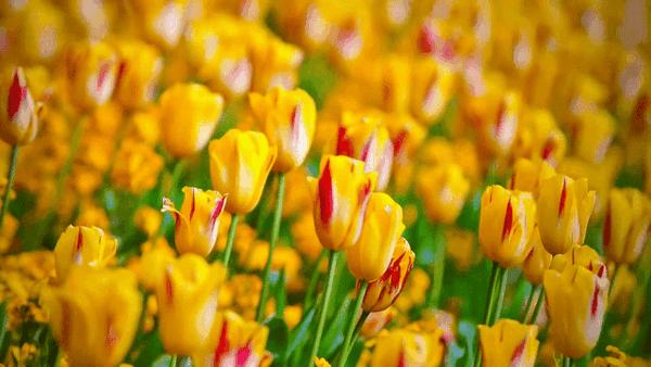 当贝电视盒子h3值得买吗,当贝h3b3电视盒子评测