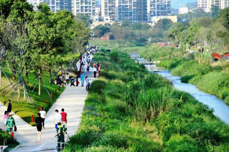 一起露营吧禾茂田园,一起露营吧广东话