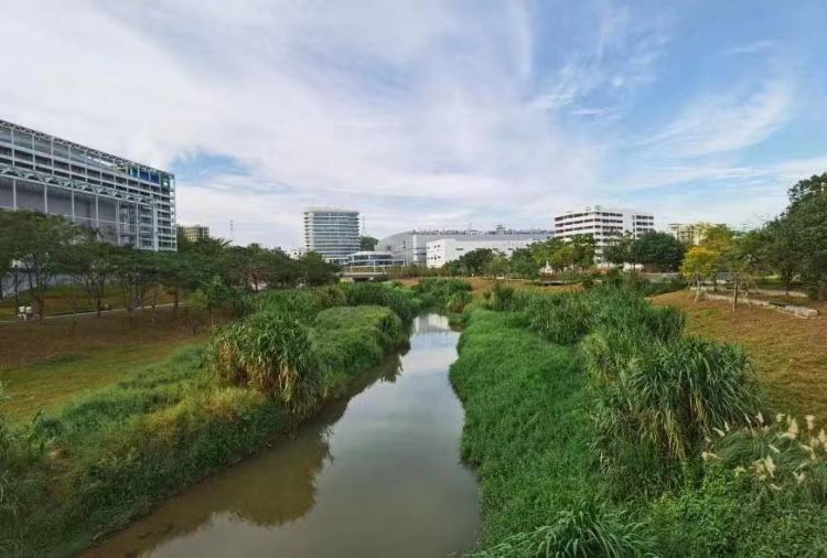一起露营吧禾茂田园,一起露营吧广东话