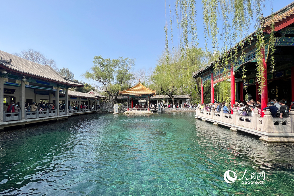 春天花“卉”开朵朵含情迎客来