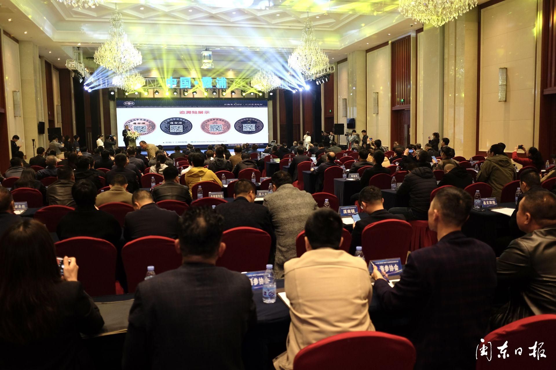 2023年霞浦海参前景,霞浦海参龙头企业