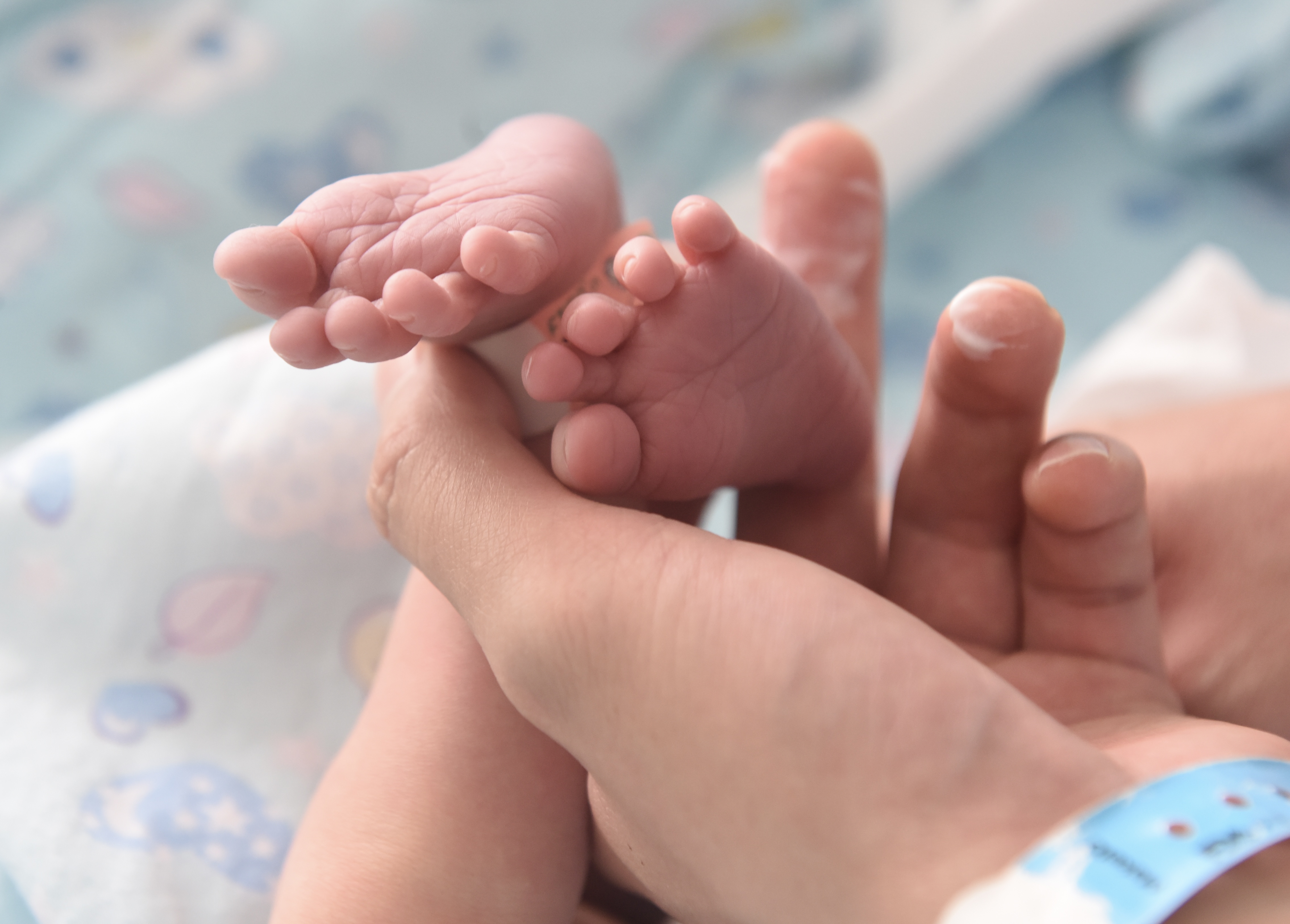 江苏省出生医学证明什么时候更新,出生医学证明最新版本是哪一年的