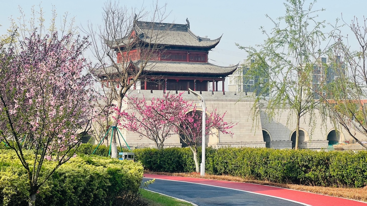 “2023环意RIDELIKEAPRO长三角公开赛”赛事全面升级，引领长三角生态绿色一体化发展示范区建设风貌的国际范