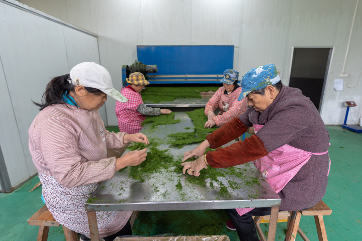 感受大海的馈赠赶海抓海鲜的乐趣,海边赶海收获的更多海鲜