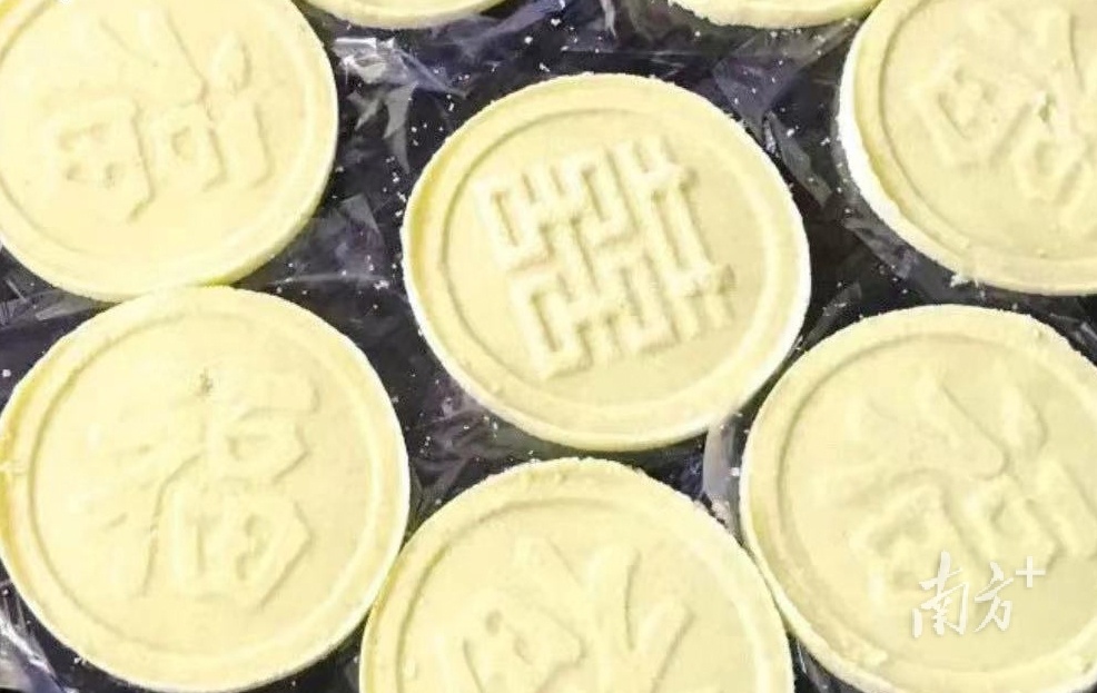 我叫揭西，精通潮话客语！欢迎来到粤东“后花园”｜2023最新简历