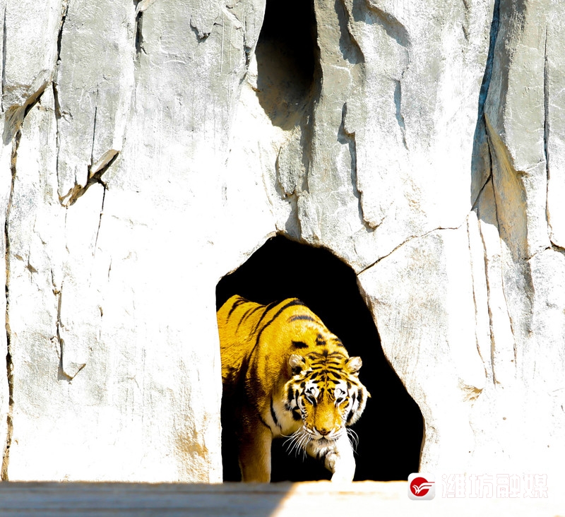 潍坊金宝乐园风景图片,潍坊金宝乐园游览图片大全