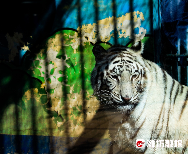 潍坊金宝乐园风景图片,潍坊金宝乐园游览图片大全