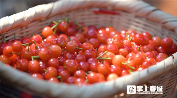昆明五一哪里好玩的地方推荐一下,五一去哪玩便宜又实惠昆明周围