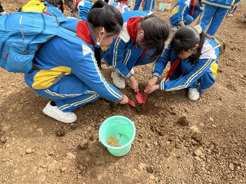 沣东一校研学,西咸新区沣东上林学校研学