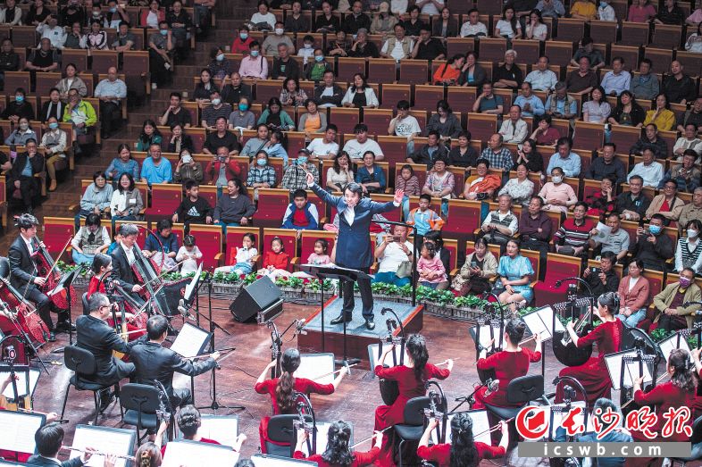 长沙音乐厅内3D打印文琴奏响《梁祝》