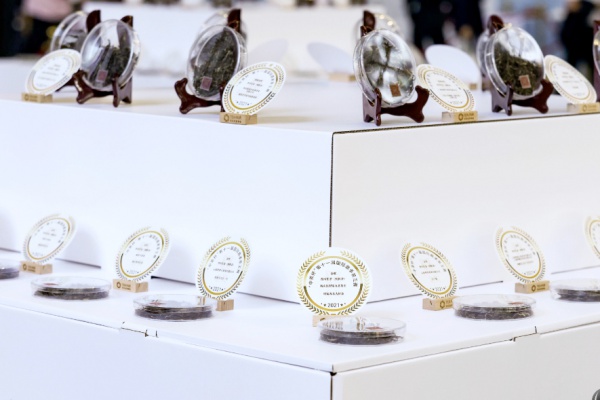 首届楚茶论坛,首届楚茶论坛开幕