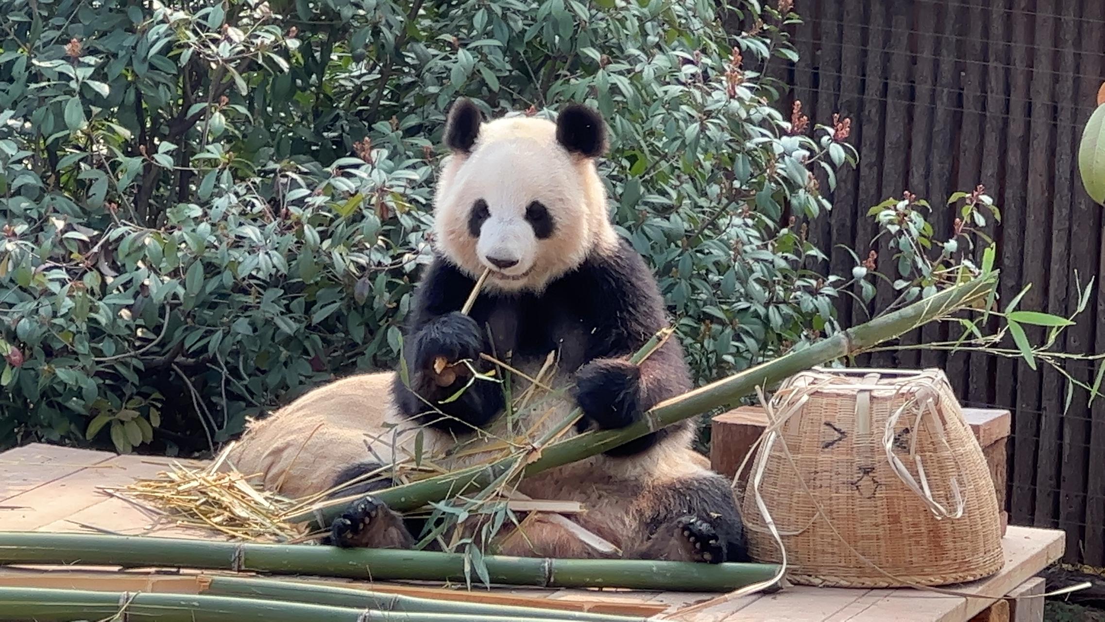 长沙网红必去的景点,网红景区推荐长沙