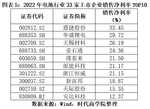 能源电池行业分析报告,电池龙头企业一览表